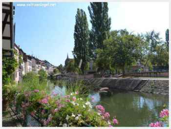 Strasbourg, à la croisée du XIVe siècle et de la modernité