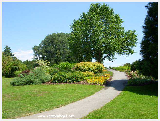 Découvrez Klagenfurt : attractions uniques, nature luxuriante et culture immersive.