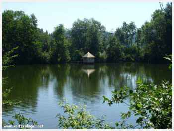 Moosburg en Carinthie, balade autour du lac, le lac et la forêt