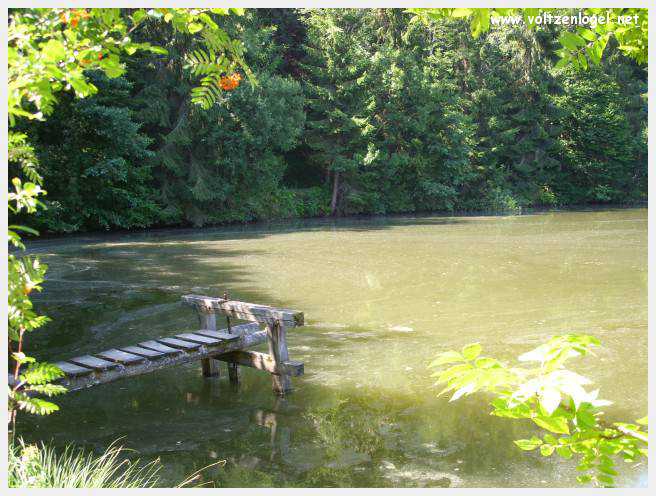 Château de Moosburg illuminé près du lac - destination autrichienne captivante