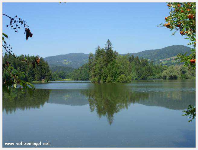 Château de Moosburg illuminé près du lac - destination autrichienne captivante