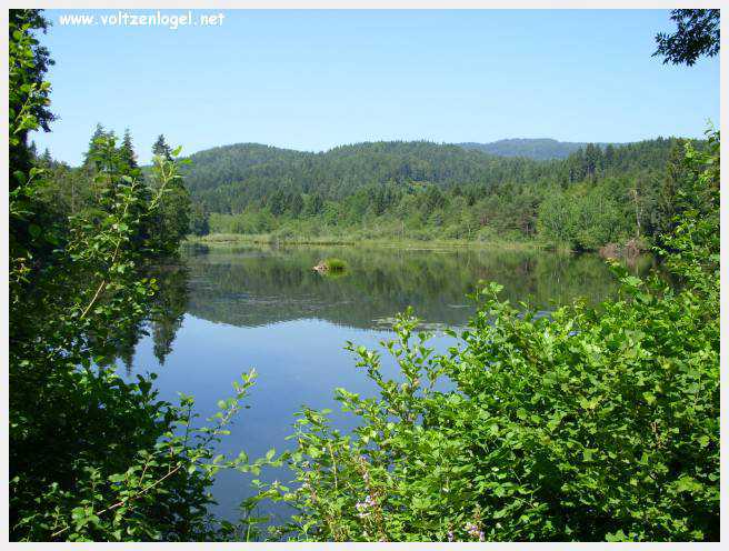 Château de Moosburg illuminé près du lac - destination autrichienne captivante