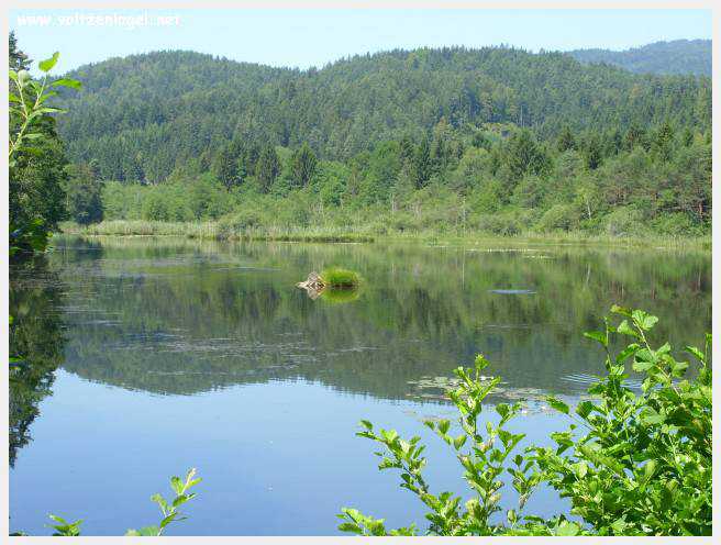 Château de Moosburg illuminé près du lac - destination autrichienne captivante