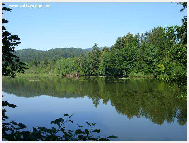 Château de Moosburg illuminé près du lac - destination autrichienne captivante