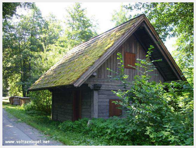 Château de Moosburg illuminé près du lac - destination autrichienne captivante