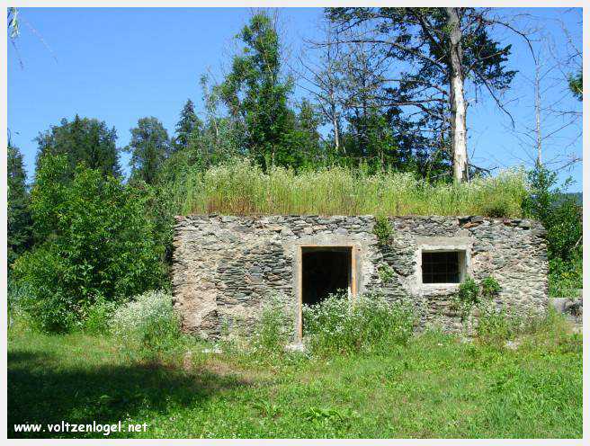 Château de Moosburg illuminé près du lac - destination autrichienne captivante