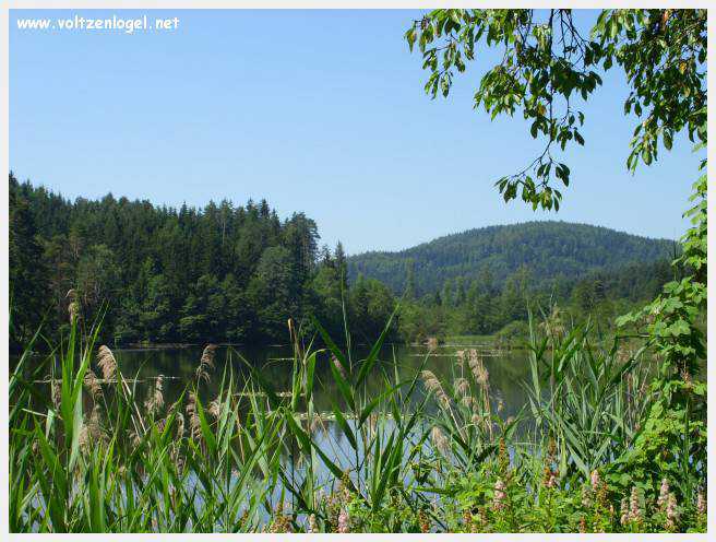 Château de Moosburg illuminé près du lac - destination autrichienne captivante