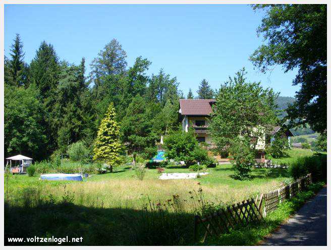 Château de Moosburg illuminé près du lac - destination autrichienne captivante