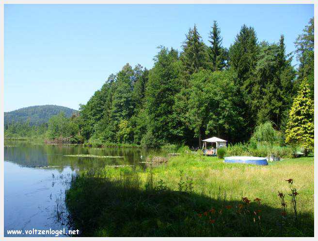 Château de Moosburg illuminé près du lac - destination autrichienne captivante