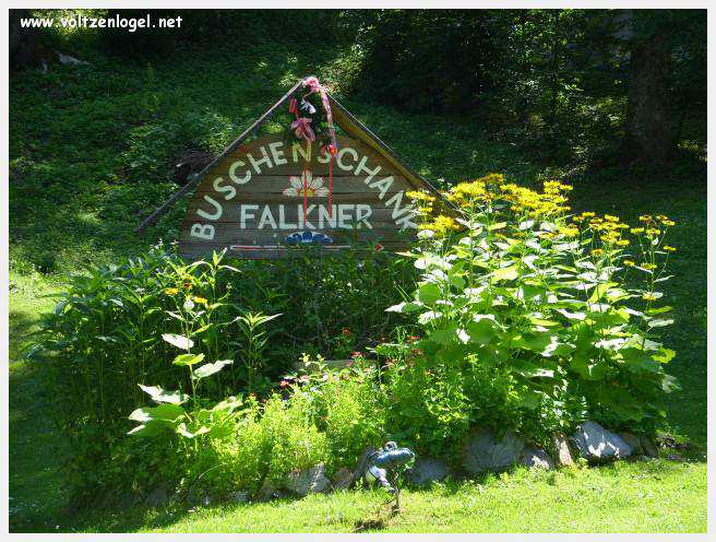 Château de Moosburg illuminé près du lac - destination autrichienne captivante