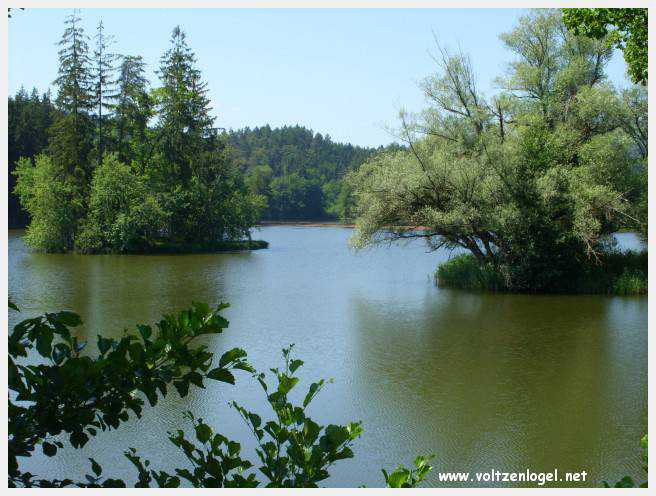 Château de Moosburg illuminé près du lac - destination autrichienne captivante