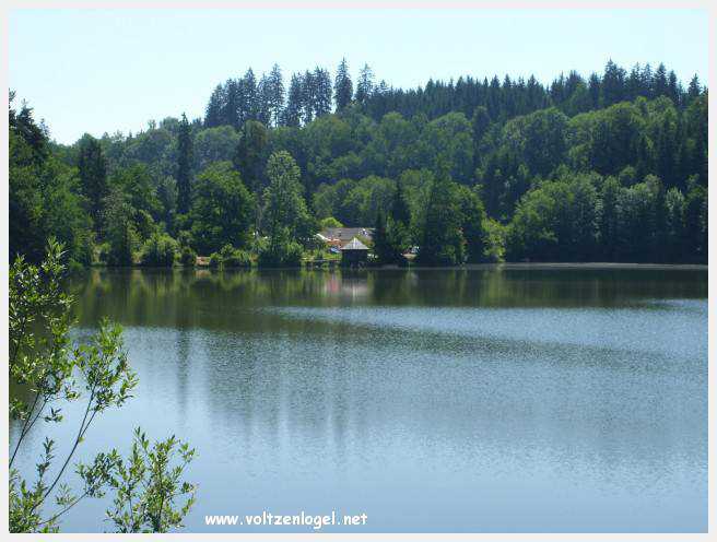 Château de Moosburg illuminé près du lac - destination autrichienne captivante