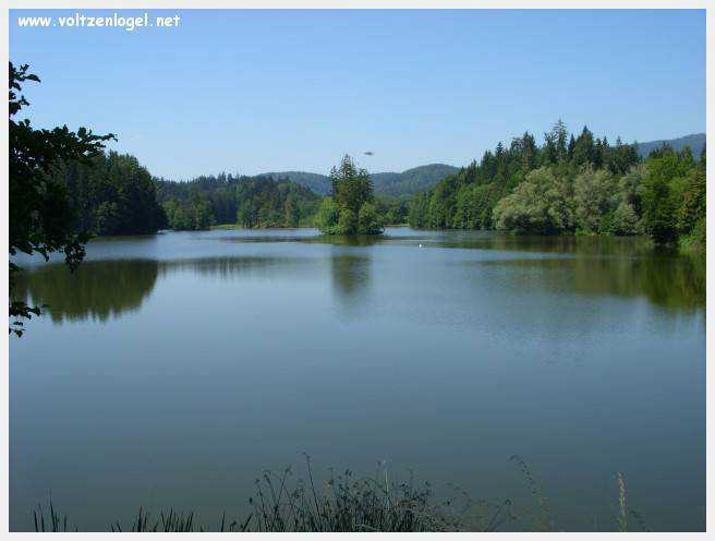 Château de Moosburg illuminé près du lac - destination autrichienne captivante