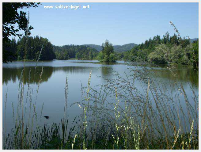 Château de Moosburg illuminé près du lac - destination autrichienne captivante