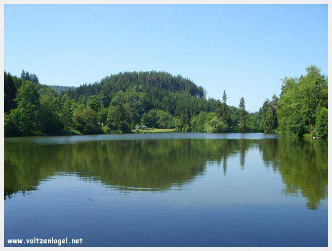 Château de Moosburg illuminé près du lac - destination autrichienne captivante