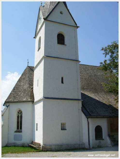 Vue panoramique du lac Wörthersee, une oasis naturelle au cœur de Reifnitz.