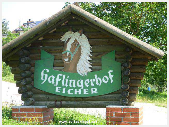 Vue panoramique du lac Wörthersee, une oasis naturelle au cœur de Reifnitz.