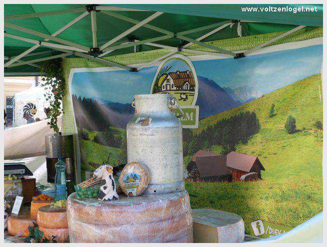 Randonnée de Mieming au Monastère de Stams à travers paysages alpins pittoresques