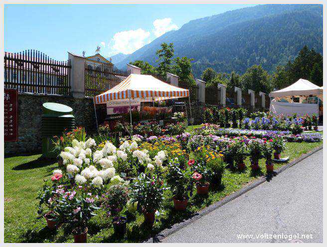 Randonnée de Mieming au Monastère de Stams à travers paysages alpins pittoresques