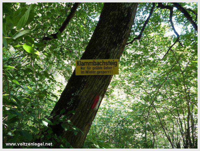 Sentier du Klammweg offrant une vue sur la gorge du château à Mieming.