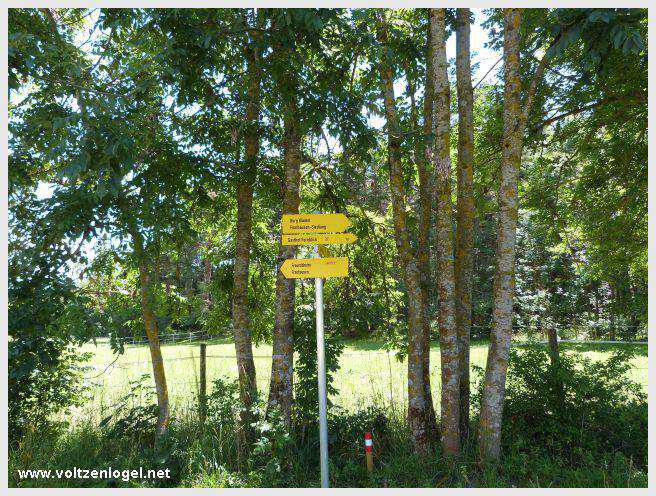 Sentier du Klammweg offrant une vue sur la gorge du château à Mieming.