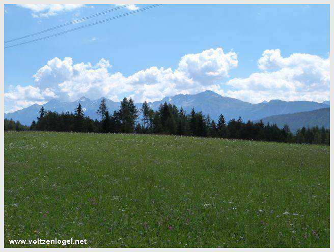 Vue panoramique depuis la ferme auberge Marienbergalm, Obsteig, Alpes du Tyrol