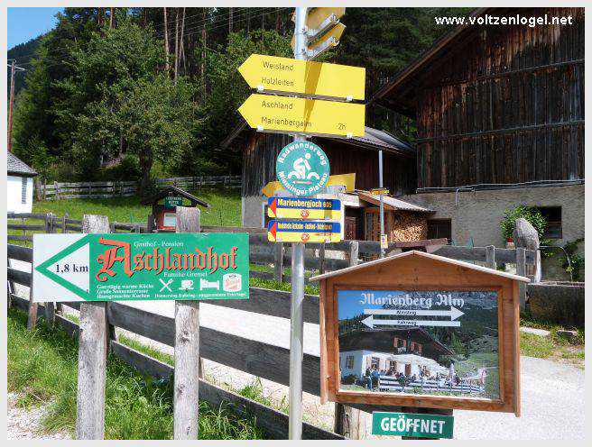 Vue panoramique depuis la ferme auberge Marienbergalm, Obsteig, Alpes du Tyrol