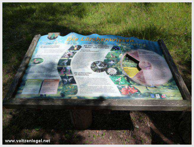 Vue panoramique depuis la ferme auberge Marienbergalm, Obsteig, Alpes du Tyrol