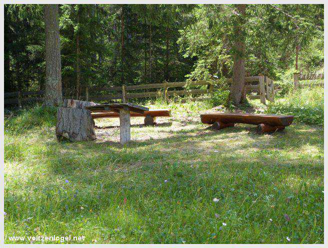 Vue panoramique depuis la ferme auberge Marienbergalm, Obsteig, Alpes du Tyrol