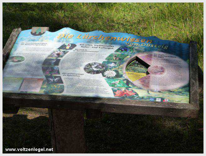 Vue panoramique depuis la ferme auberge Marienbergalm, Obsteig, Alpes du Tyrol