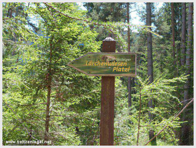 Vue panoramique depuis la ferme auberge Marienbergalm, Obsteig, Alpes du Tyrol