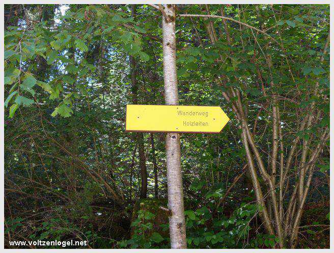 Vue panoramique depuis la ferme auberge Marienbergalm, Obsteig, Alpes du Tyrol