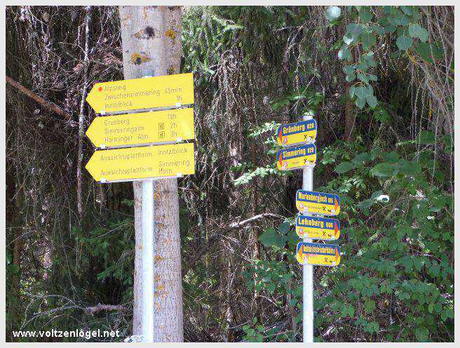 Vue panoramique depuis la ferme auberge Marienbergalm, Obsteig, Alpes du Tyrol