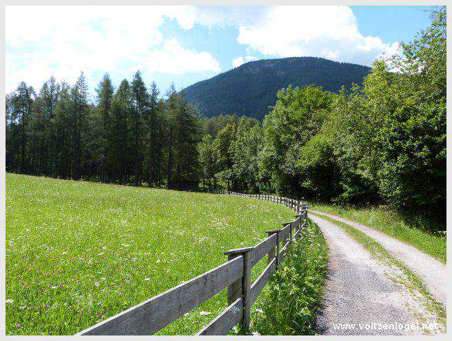 Vue panoramique depuis la ferme auberge Marienbergalm, Obsteig, Alpes du Tyrol