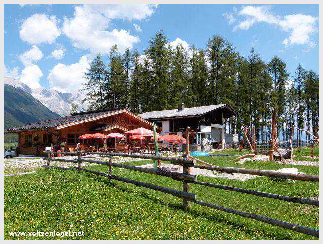 Vue panoramique depuis la ferme auberge Marienbergalm, Obsteig, Alpes du Tyrol