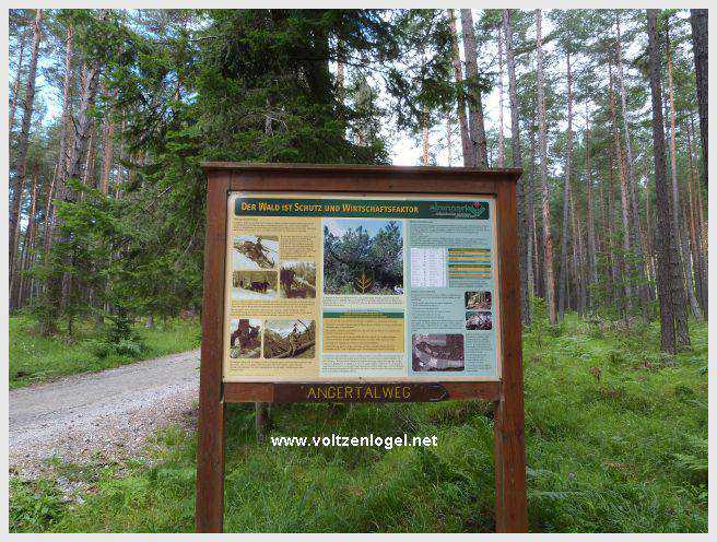 Vue panoramique du lac de Mieming, reflétant les Alpes du Tyrol sous un ciel ensoleillé