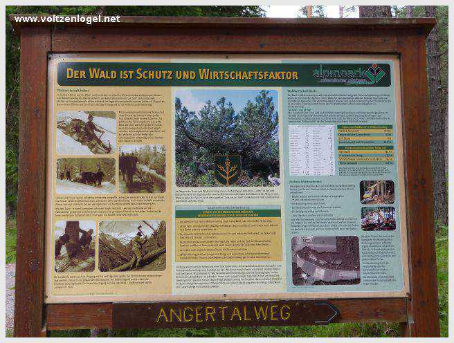 Vue panoramique du lac de Mieming, reflétant les Alpes du Tyrol sous un ciel ensoleillé