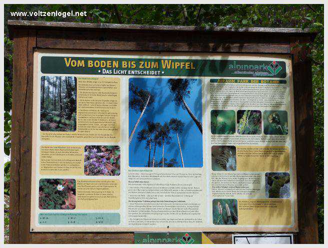 Vue panoramique du lac de Mieming, reflétant les Alpes du Tyrol sous un ciel ensoleillé