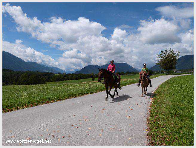 Vue panoramique du lac de Mieming, reflétant les Alpes du Tyrol sous un ciel ensoleillé