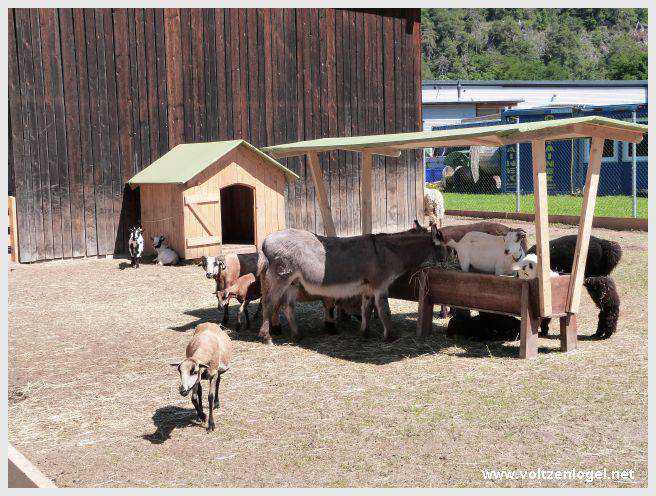Vue panoramique sur le pont suspendu de l'Inn à Mieming