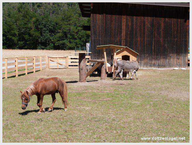 Vue panoramique sur le pont suspendu de l'Inn à Mieming