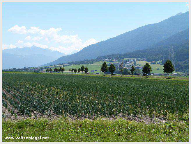 Vue panoramique sur le pont suspendu de l'Inn à Mieming