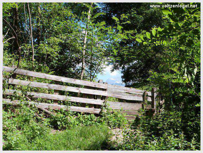 Vue panoramique sur le pont suspendu de l'Inn à Mieming