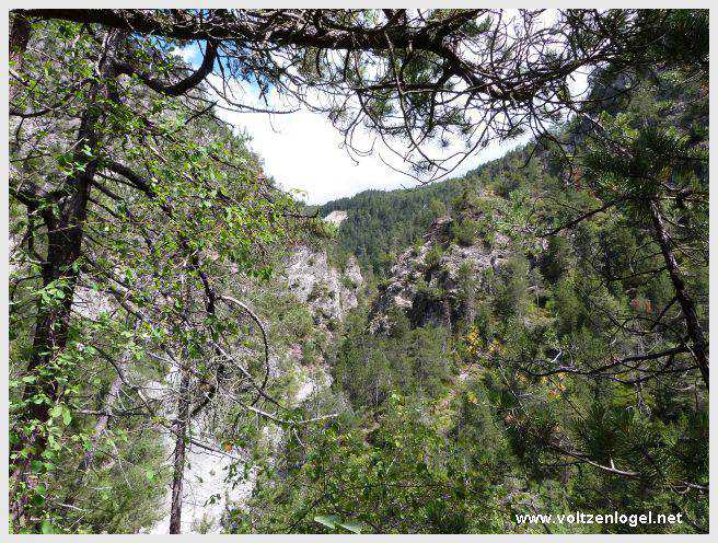 Pont Suspendu et Gorges du Strassberg à Mieming