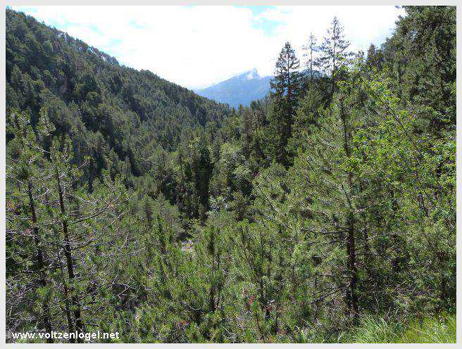 Pont Suspendu et Gorges du Strassberg à Mieming