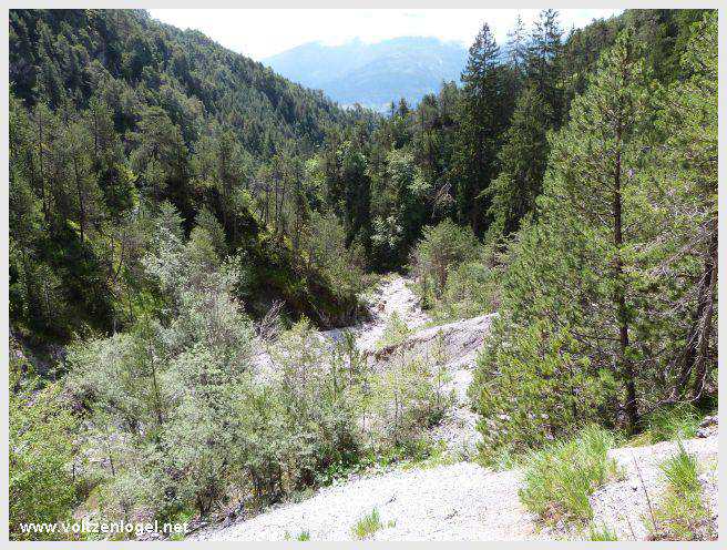 Pont Suspendu et Gorges du Strassberg à Mieming