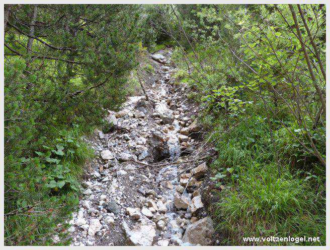 Pont Suspendu et Gorges du Strassberg à Mieming