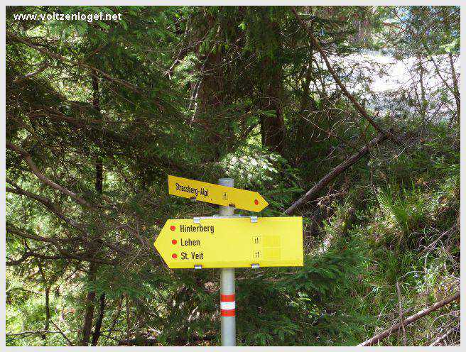 Pont Suspendu et Gorges du Strassberg à Mieming