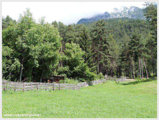 Pont Suspendu et Gorges du Strassberg à Mieming