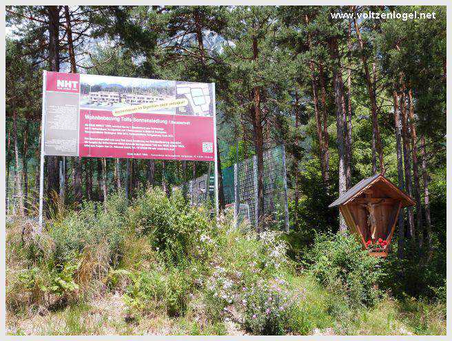 Pont Suspendu et Gorges du Strassberg à Mieming